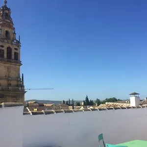 Apartamento Entre 2 Mezquitas 8